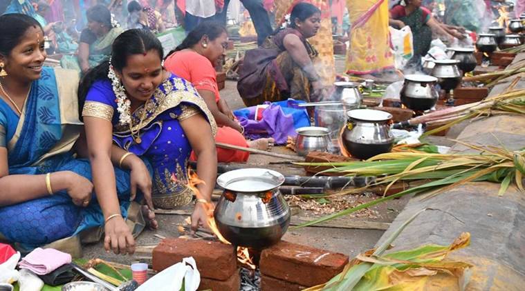 pongal